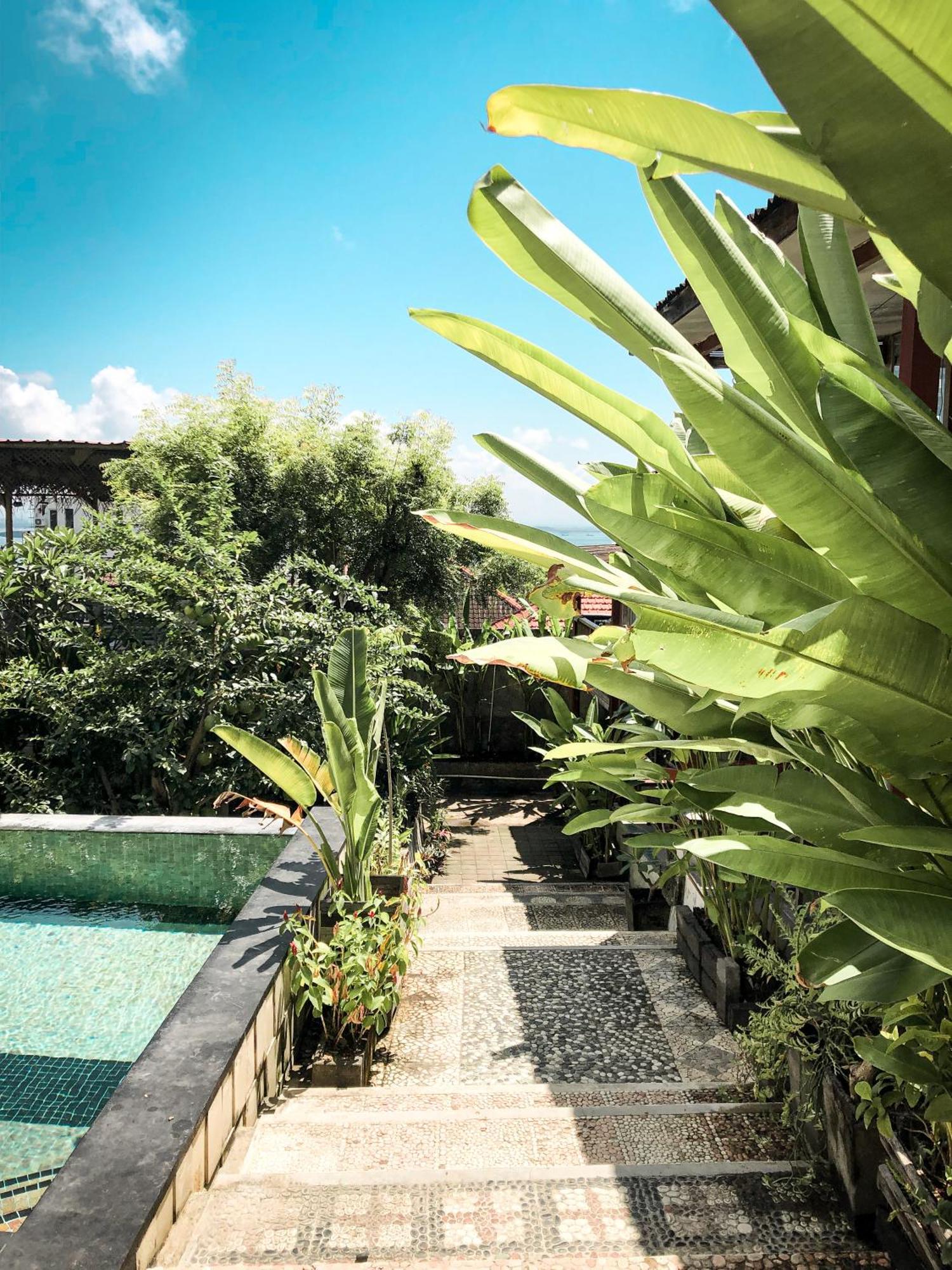 The Tree House Bed & Breakfast Nusa Dua  Bagian luar foto